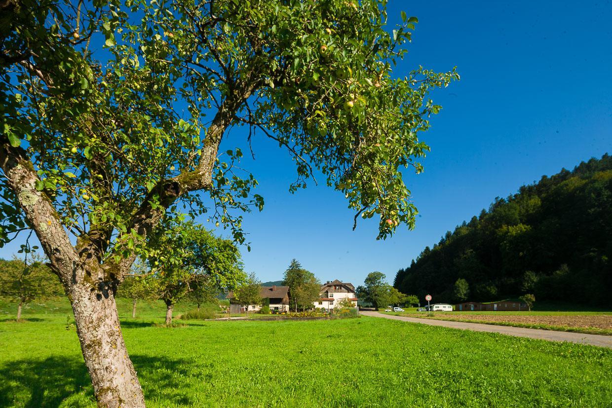 Landgasthof Kinzigstrand Biberach bei Offenburg エクステリア 写真